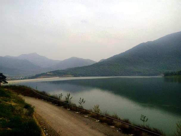 طبیعت جنگل کبودوال از نگاه دوربین مخاطبین + تصاویر
