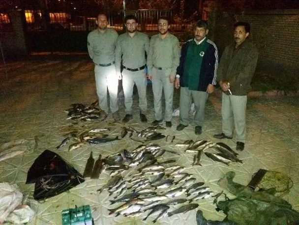 صید 200 قطعه ماهی با دستگاه شوکر برقی در پارس آباد/ صیادان غیرمجاز دستگیر شدند