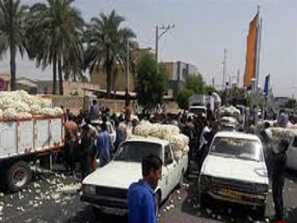 افت قیمت پیاز اشک کشاورزان عنبرآبادی را در آورد