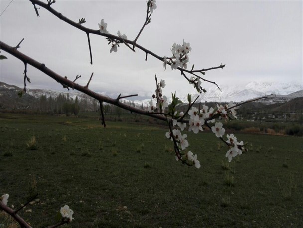 طبیعت بهاری روستای سله بن در روز برفی فیروزکوه