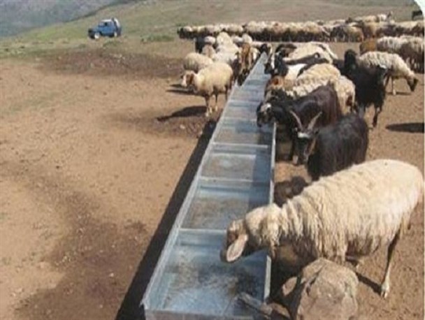 توسعه واحد های کوچک دامداری روستایی منجر به تداوم تولید می شود