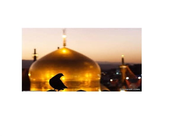 توهین به امام رئوف تا ادعای پارچه سبز