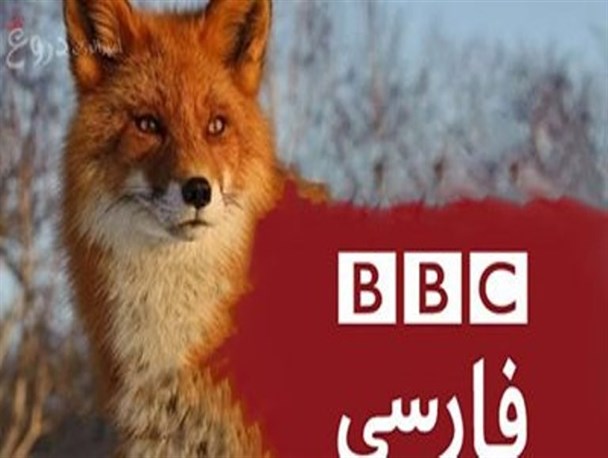 سندسازی BBC صدای گاردین را هم درآورد!+عکس‌خبر