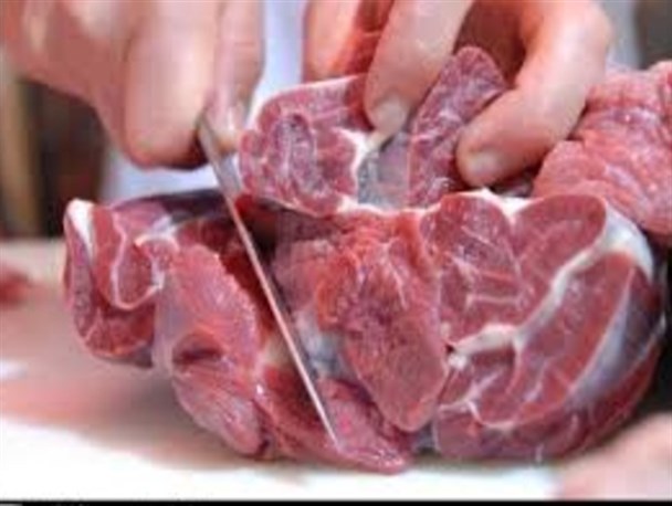 بیماری تب کنگو در شهرستان زابل رویت نشده است