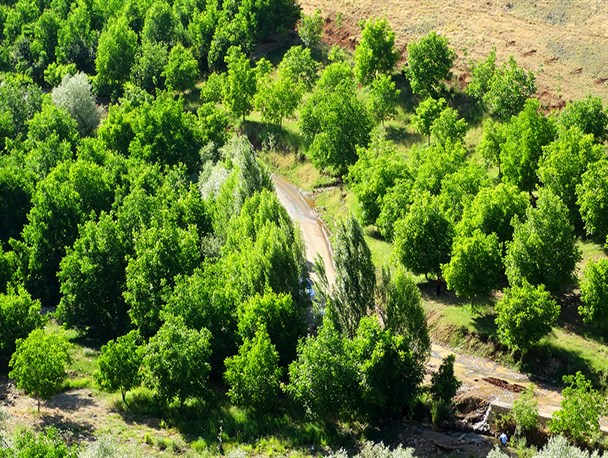 تصاویری دیدنی از طبیعت زیبای کهمان