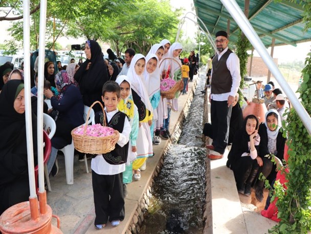 جشنواره سنتی گلاب‌گیری در نراق