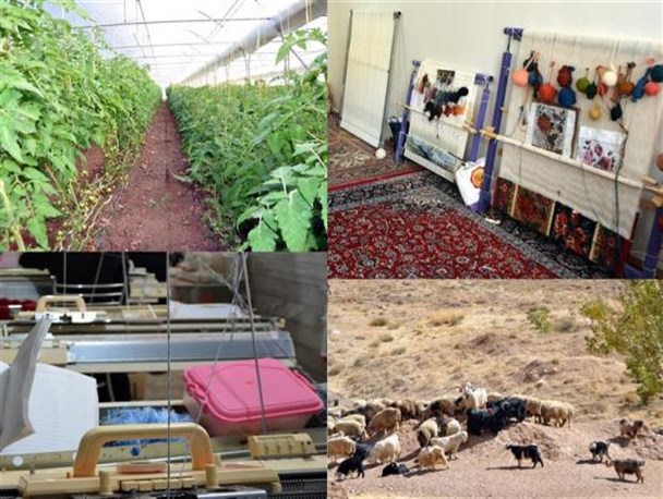 10 میلیارد تومان تسهیلات اشتغال روستایی در بروجرد پرداخت شد