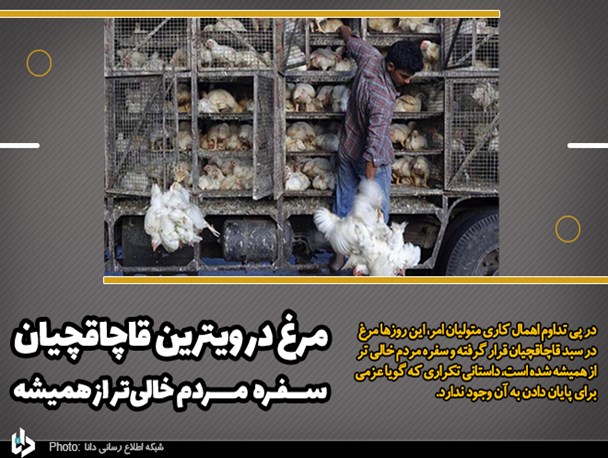 مرغ در ویترین قاچاقچیان و سفره مردم خالی‌تر از همیشه/ تأمین نیاز کشورهای همسایه دلیل قاچاق مرغ است؟!