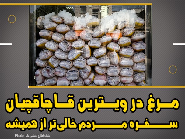 فتونیوز/مرغ در ویترین قاچاقچیان و سفره مردم خالی‌تر از همیشه