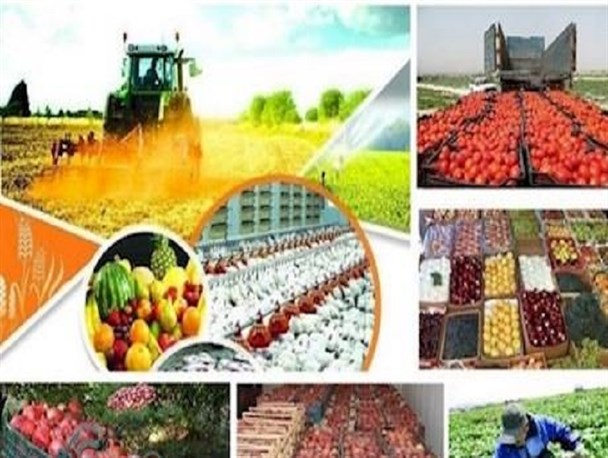 جهادکشاورزی، متولی نظارت بر کالاهای اساسی از مزرعه تا سفره