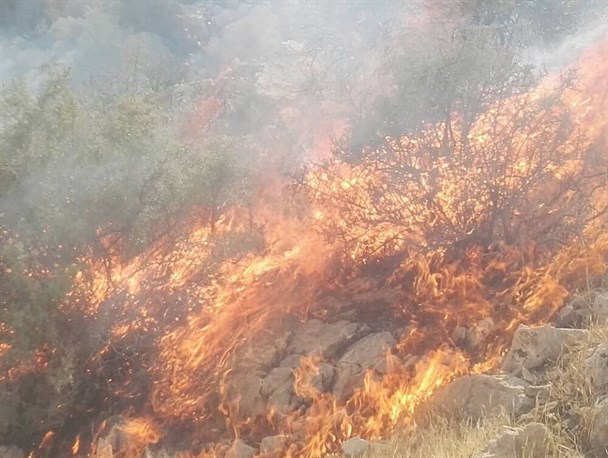 رااگرس همچنان گریان در غم البرز