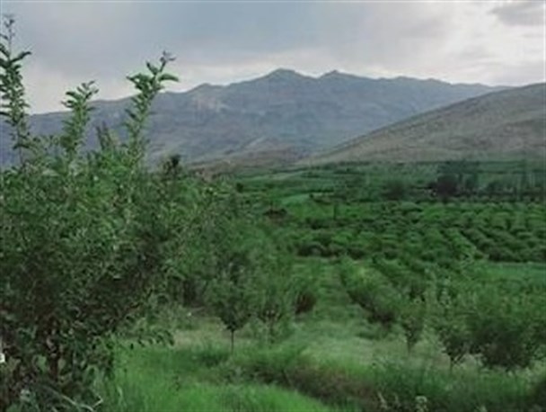 امیدآفرینی در رونق اقتصادی کشاورزی با تعیین الگوی کشت/  کشت و زرع در سرزمین برف و آفتاب علمی می‌شود