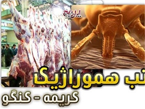 پرهیز از له کردن کنه ها جهت پیشگیری از تب کریمه کنگو الزامی است