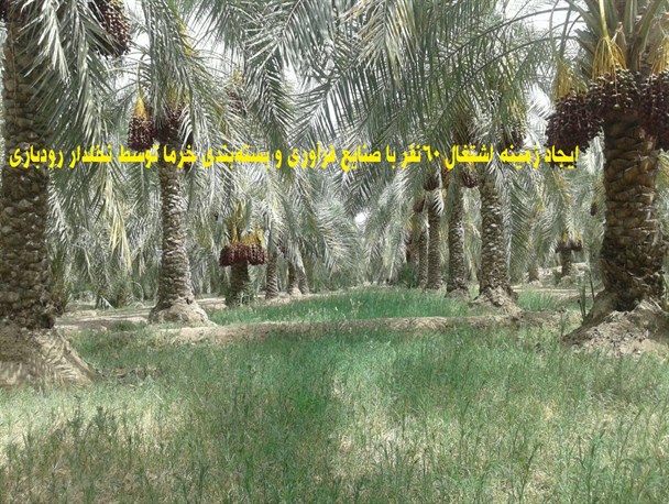 ایجاد زمینه اشتغال ۶۰نفر با صنایع فرآوری و بسته‌بندی خرما توسط نخلدار رودباری+تصاویر