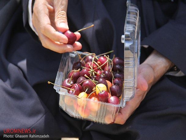 تصاویر/ دومین جشنواره کشوری گیلاس اشنویه