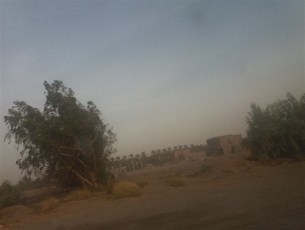 باد شدید به همراه گرد و غبار در شهرستان دلگان+ تصاویر