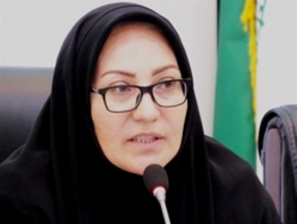 اعتبار 330 میلیارد ریالی برای 82 طرح اشتغالزایی گچساران/نیک مرام:عملکرد بانک های عامل صفراست