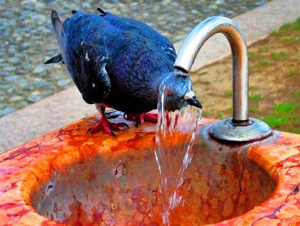 گرمای بی سابقه مردم مشگین شهر را زمین گیر کرد
