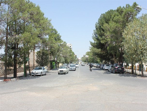 ادارات و بانک ها تعطیل/ شهر زرند بی نشان از قرنطینه
