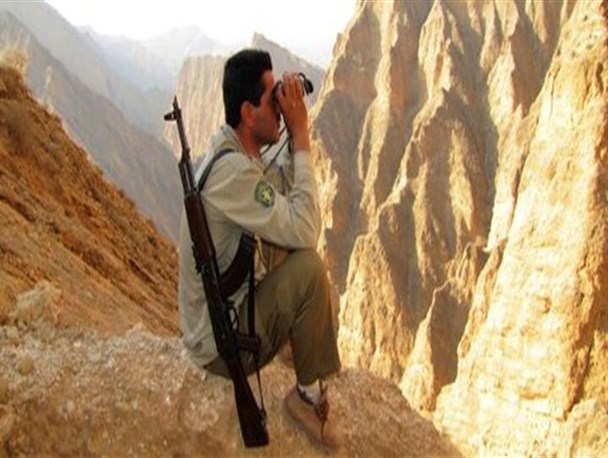 قوانین مقابله با متجاوزان به منابع طبیعی تشدید شود