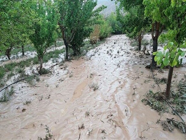 ۹۰درصد خسارت سیل چالوس در آسارا برآورد شد/ لزوم مراجعه باغداران ۵۶ روستا به بخشداری