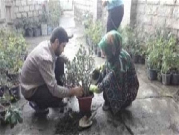 بانوی کار آفرینی که از هیچ گلخانه‌ای بزرگ ساخت