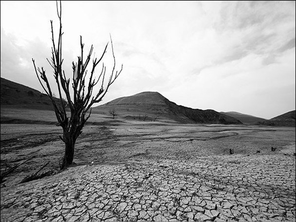 کاهش 38 درصدی بارندگی در زرین دشت بحران اب است