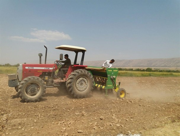 آغاز اولین کشت مکانیزه کلزا در شهرستان فیروزاباد