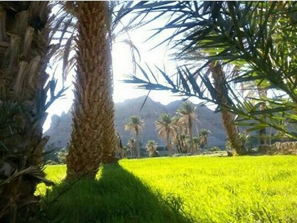 بندان روستایی در بخش مرکزی نهبندان/ تصویری