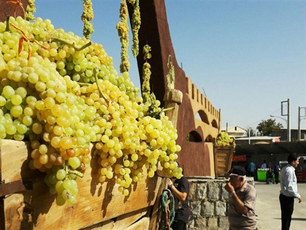 بازدید ۱۰هزار نفر از سومین جشنواره انگور و بوم گردی روستای حسن رباط