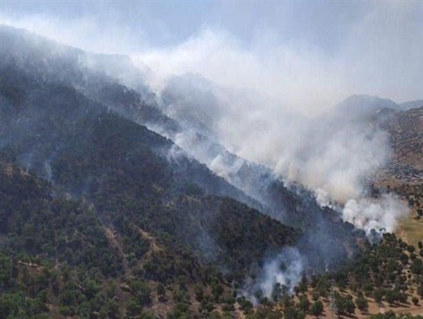 آتش جنگل های " نیر " لوداب شعله ور شد/شعله های آتش وارد چرام شد