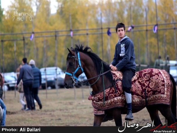 هشتمین دوره جشنواره فرهنگی و ورزشی جام ستارخان در ورزقان+تصاویر