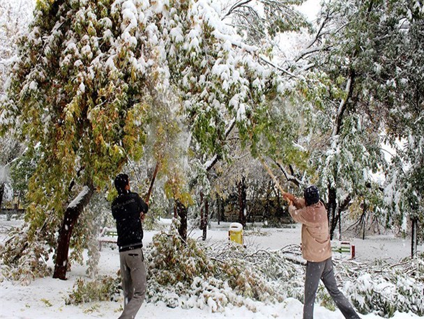 بارش ۵ میلی‌متری باران و برف پاییزی در شهرستان اهر