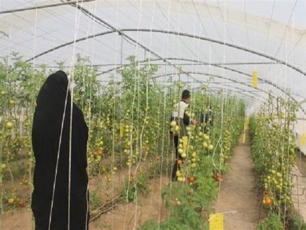 گزارش تصویری از  طرحهای اقتصاد مقاومتی بسیج اصناف