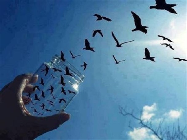می خواهی با ملائکه پرواز کنی؟/ پنج صفت برای اوج گرفتن