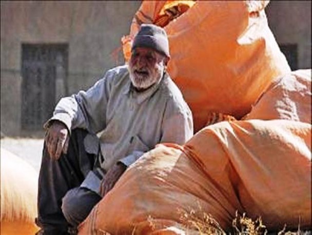 مسئولین، با خبر واریز پول گندم آرامش را از ما می گیرند