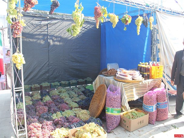 جشنواره انگور روستای هزاوه اراک +تصاویر
