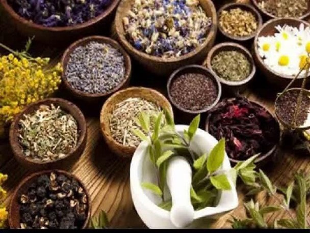 توسعه کشت و تقویت زنجیره ارزش تولید گیاهان دارویی