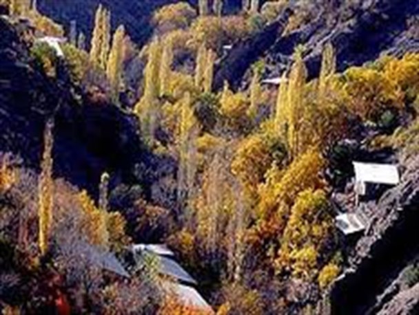 کاشت درخت وضو در روستاهای البرز