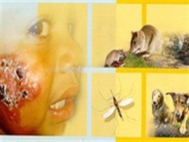 آغاز طرح بیماریابی سالک در یزد