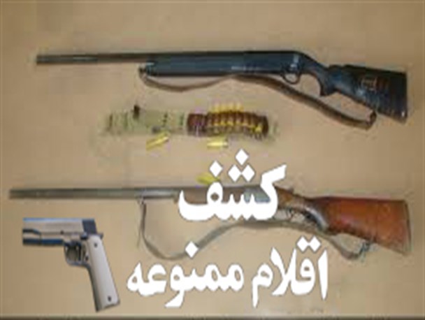 کشف 7 قبضه سلاح شکاری و یک قبضه کلت کمری جنگی در پارس آباد