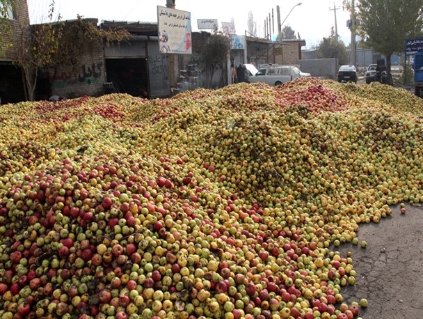 غریبه ای که آب دریاچه ارومیه را خورد و لنگر انداخت+تصاویـر