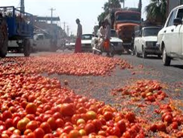 ازگوجه های انبارشده جلوی فرمانداری تاگوجه کیلویی ۴۵۰۰تومان دررودبارجنوب