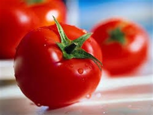 گوجه فرنگی میوه اعیانی شد/ هرکیلوگرم گوجه 8500