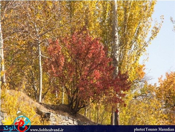 خزان هزار رنگ همدان