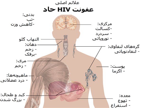 کارگاه‌ «تربیت مربی پیشگیری و کنترل ایدز» در دانشگاه بجنورد/ دانشجویان داوطلب همیاران سلامت می‌شوند