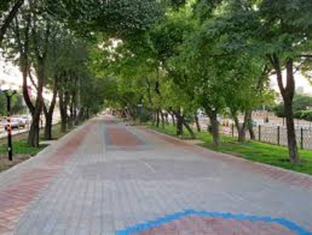 آغاز فاز جدید اجرای سنگفرش بلوار مصلی/ کاشت ۵۵۰ نهال در کمربندی شمالی شهر
