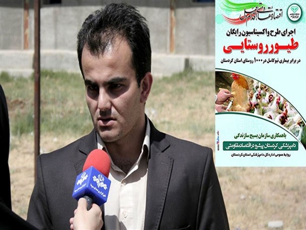 اجرای رایگان واکسیناسیون طیور بومی در ١٢٠ روستای سنندج