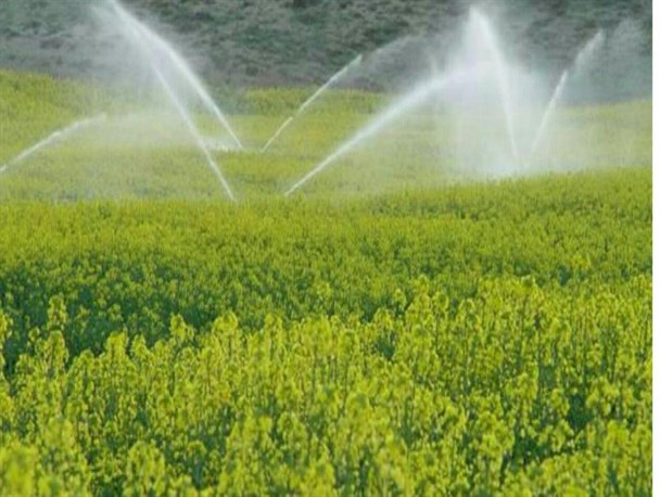 اختصاص 150 میلیارد ریال اعتبار برای توسعه سامانه های آبیاری تحت فشار شهرستان نیر