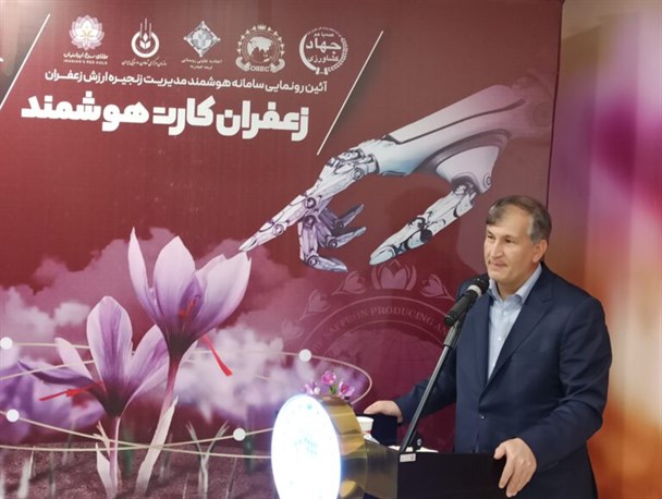 خراسان رضوی قطب تولید زعفران جهان است/ سهم ناچیز ایران از بازار ۸ میلیارد دلاری طلای سرخ